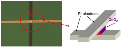 Pt/CeO2/Pt crossbar array 이미지와 모식도