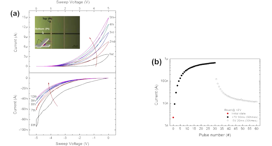 Pt/CeO2/Pt cross bar array 구조에서의 (a) 전류-전압 곡선 및 crossbar array 이미지 (b) 펄스 구동에 따른 potentiation, depression