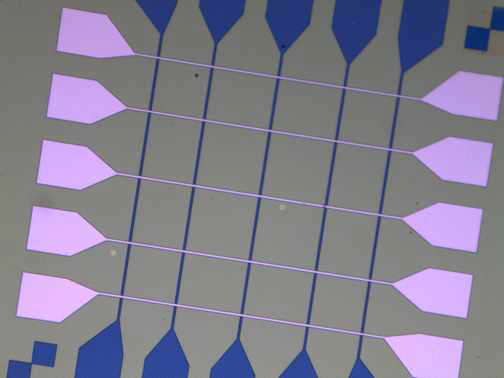 Pt/NiO /Pt array로 제작된 소자의 광학 이미지