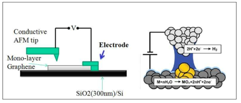 Local Anodic oxidation Lithography법를 이용한 그래핀 소자 제작의 원리 (왼쪽: 도식, 오른쪽: 원리)