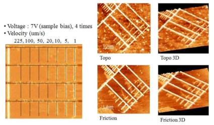 contact mode를 이용한 탐침 속도에 따른 local anodic oxidation lithography법