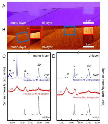 단층 그래핀과 2중층 그래핀에 원자현미경(AFM)에 의해양, 음극 리소그래피로 패턴된 산화와 수소화된 부분의 라만 스펙트럼