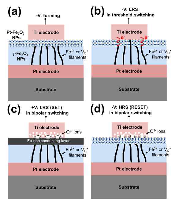 Ti/Pt-Fe2O3/Fe2O3/Pt 구조의 전압부호에 따른 multimode switching 특성 모델: (a) forming operation, (b) -V 전압에서의 threshold switching, (c) +V 전압에서의 filament 형성에 의한 SET transition, (d) -V 전압에서의 RESET transition