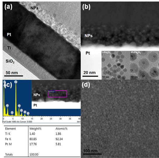 Ti/나노입자/Pt 구조의 (a) BF TEM 이미지, (b) HAADF TEM 이미지와 나노입자의 HR TEM 이미지, (c) 나노입자층의 EDS 분석결과, (d)나노입자층의 SEM 이미지