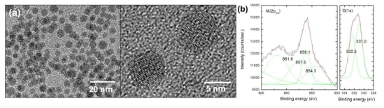 (a) 약 5 nm 크기를 갖는 NiOx 나노입자의 TEM 이미지와 (b)나노입자가 NiO와 Ni2O3가 혼합 되어 있음을 보여주는 XPS spectra