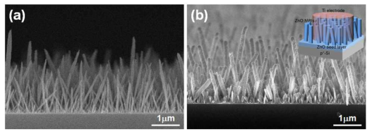 (a)ZnO 나노선의 SEM 이미지, (b)Ti/ZnO-NWs/ZnO-seed-layer/p-Si 구조 의 SEM 이미지와 개략도