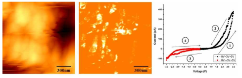 Cr/ZnO-NWs/Au 구조에서의 tophograpy, current 이미지 및 포인트에 서의 bipolar switching 특성