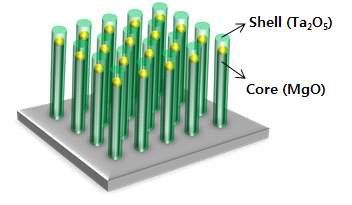 VLS 방법으로 성장된 core-shell 나노선 모식도