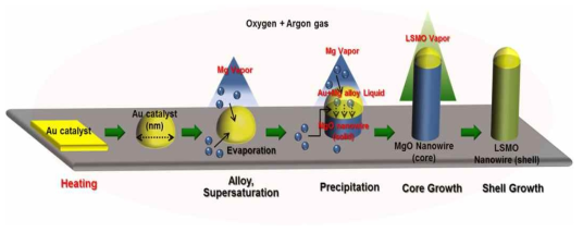 MgO/LSMO 코어-페로브스카이트 쉘 나노선 제작 방법 모식도