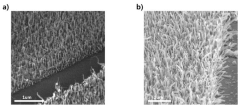 제작된 나노선의 SEM 이미지 (a) MgO 나노선의 SEM 이미지, (b) MgO/LSMO 코어-페로브스카이트 쉘 나노선의 SEM 이미지