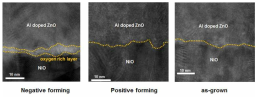 AZO/NiO 계면에서의 TEM 측정결과