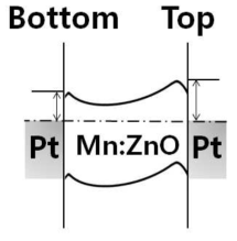 Pt/Mn:ZnO/Pt 구조의 초기 상태 밴드구조