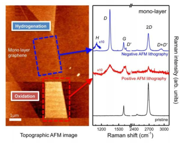 원자현미경(AFM)에 의해 양, 음극 리소그래피로 패턴된 산화와 수소화된 부분의 라만 스펙트럼