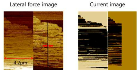 그래핀/그래핀 산화물/그래핀 수평 구조의 제작 전과 후의 AFM 마찰력 이미지와 CAFM 이미지