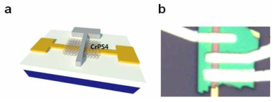 CrPS4 물질을 이용하여 제작된 소자의 (a) 모식도, (b) 광학이미지