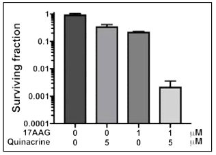 Effect of quinacrine and 17AAG on cell death in cancer cells under hypoxia