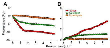 Fluorescent detection of glutathionylation and deglutathionylation of C. sinensis