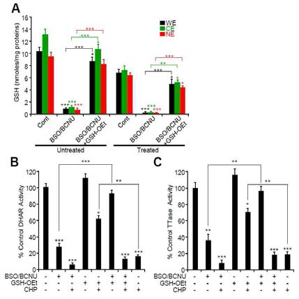 Depletion or supplementation of GSH on viable C. sinensis with or without stress