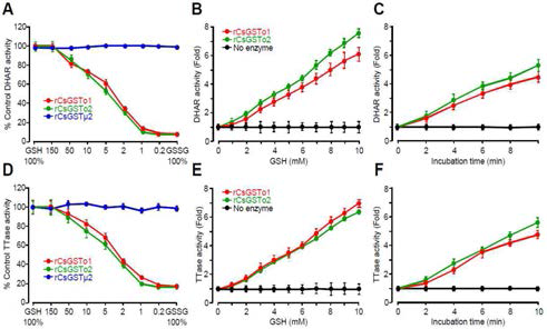 CsGSTos specifc DHAR activity and TTase activity regulated by glutathionylated rCsGSTos