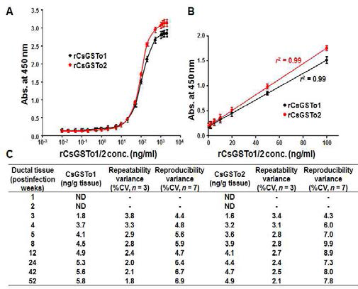 Detection of CsGSTo molecules incorporated into rat ductal cells experimentally infected with C. sinensis