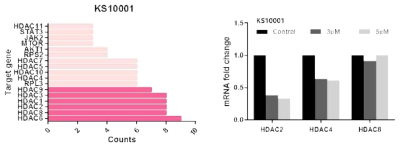 KS-10001 처리에 따른 HDAC의 mRNA 변화 분석