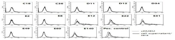 The ability of GP-specific hybridoma cell supernatants to bind Ebola virus GP expressed on the surface of HEK293-GP cells. HEK293-GP cells were reacted with 20 μl of cell supernatants from the 13 hybridomas, followed by reaction with anti-mouse IgG (whole molecules)-FITC for flow cytometry. Thin line indicates 20 μl cDMEM, while thick line indicates 20 μl cell supernatant and, in positive control, 2 μl GP-specific sera (from GP DNA vaccine-immunized mice)