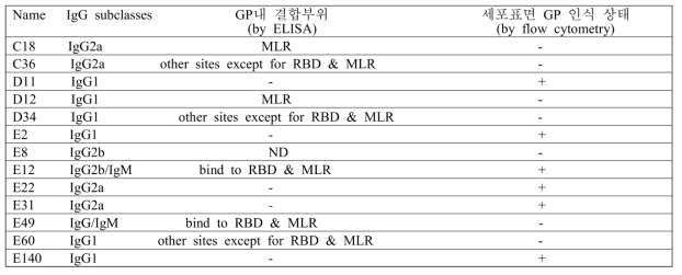 Thirteen hybridomas유래 세포배양액을 이용한 IgG타입, GP항원결합부위 및 결합능. MLR; mucin-like region, RBD; receptor-binding domains