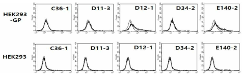 Evaluation of the 5 purified IgG antibodies for their binding activity to the native forms of GP expressed on the cell surface. One mg/ml of the IgG antibodies from clones, D36-1, D11-3, D12-1, D34-2, and E140-2 were reacted with 5 x 105 HEK293-GP and HEK293 cells, followed by incubation with FITC-conjugated anti-mouse IgG(Fc) for flow cytometry. Thin line: control IgG, Thick line: experimental IgG