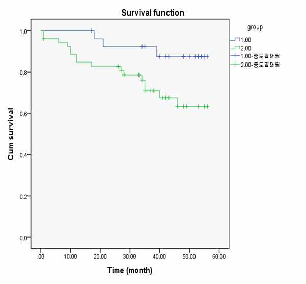 The overall survival of patients in the high SRA group showed significantly worse survival rates than those who were in the low SRA group (P=0.038)