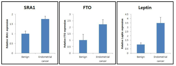 SRA, FTO and Leptin expressions in endometrial cancer patient tissues