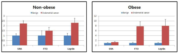 SRA, FTO and Leptin expressions in obese/non-obese endometrial cancer patient tissues