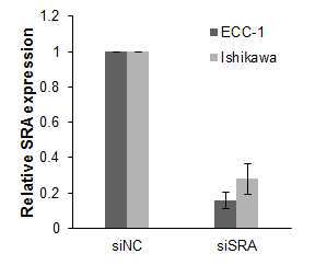 Effect of siSRA