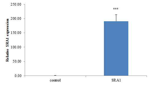 Effect of SRA in ECC-1