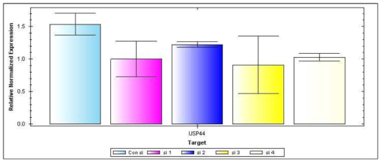 Knockdown of USP44 mRNA expression by treating with four sets of siRNA targeting USP44. The mRNA expression was validated by qRT-PCR in HeLa cells