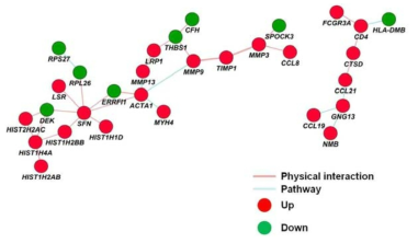 Protein-Protein Interaction (PPI) networks of the DEGs