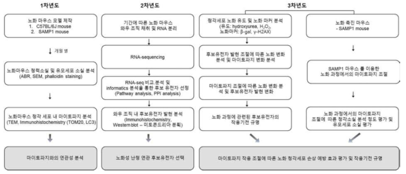 연구 주요 내용