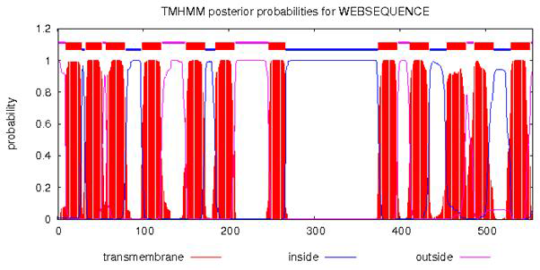 DcuE의 막 위상 예측 그래프 (TMHMM server v. 2.0)