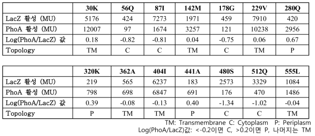 LacZ/PhoA manual assay 데이터와 막 위상 결과