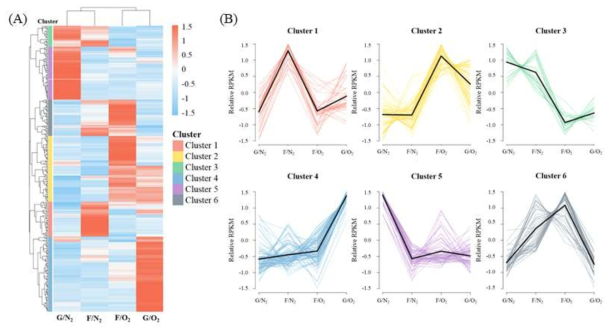 (A) Heatmap of 353 clustered over- or underexpressed A. succinogenes genes under aerobic or anaerobic growth conditions, with glucose or fumarate. (B) Expression profiles of differentially expressed genes associated with six clusters. Black lines indicate the average profile of each cluster. G/N2, anaerobic growth on glucose; F/N2, anaerobic growth on fumarate with glycerol; F/O2, aerobic growth on fumarate; G/O2, aerobic growth on glucose