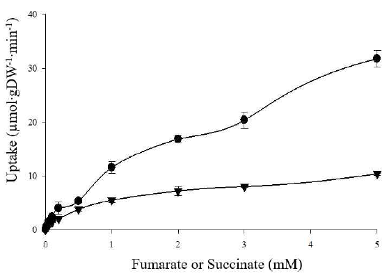 Concentration-dependent uptake of C4-dicarboxylates in cellsuspensions of A. succinogens. The initial uptake (1 min) of [14C]fumarate (●) and [14C] succinate (▼) was determined at substrate concentrations from 0 to 5 mM. The assays were performed at least in triplicate using three or more independent cell cultures