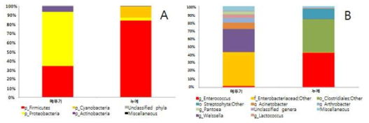 A. 누에 & 메뚜기 그룹별 Phylum (A) & Genus (B) level Taxon