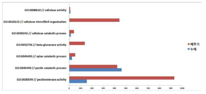 누에 & 메뚜기 그룹에서 Cellulose, Xylan, Pectin 성분과 관련된 GO functions