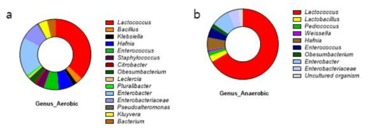 곤충 장관유래 미생물(microbiome) 동정. a. Genus(aerobic), b. Genus(anaerobic)