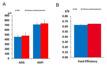 곤충 장관유래 미생물총 이식 그룹에 따른 일당증체량 (ADG), 일당사료섭취량 (ADFI) (A) & 사료효율 (Feed Efficiency) (B)