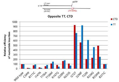 인체 pol eta (1-441) wild-type 및 유전변이체들에 의한 정상 TT 또는 CTD에 대한 dATP 삽입에 대한 상대 효율 비교