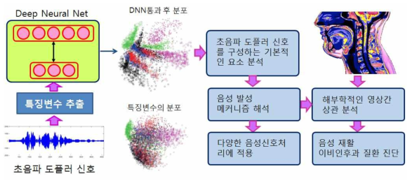 DNN을 이용한 초음파 도플러 신호의 요소성분 분석과 응용