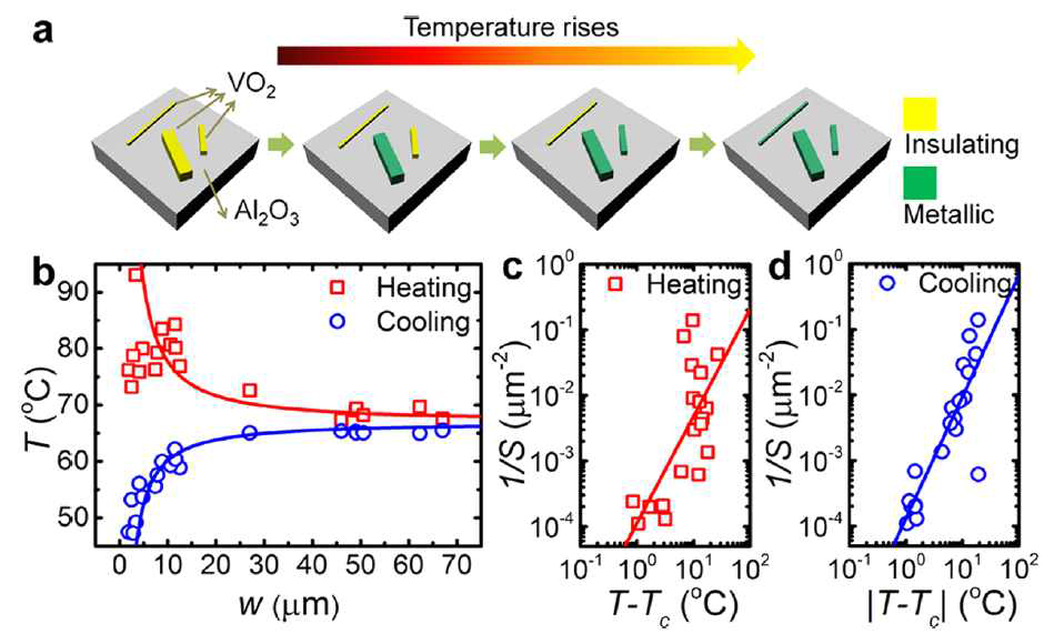 (a) VO2 크기에 의존하는 금속-부도체 전이 모식도 (b) 전이 온도의 VO2 크기 의존성 (c) 시료 가열시 면적 역수 (1/S)와 VO2 전이온도와 VO2 전이 온도 차 관계 (d) 시료 냉각시 면적 역수 와 VO2 전이온도와 VO2 전이 온도 차 관계