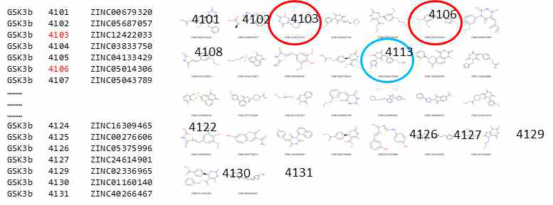 단백구조기반-,활성리간드 데이터베이스 기반을 통해 선별된 GSK-3β 저해 화합물