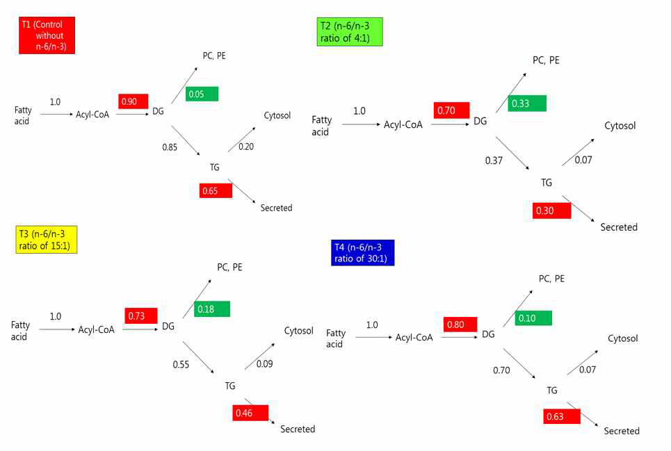 Quantification of the partitioning of flux of acyl moieties at the major branch points for oxidation and glycerolipid synthesis in Ovariectomized hyperlipidemia rats (n=3). DG, diacylglycerol; TG, triacylglycerol; PC, phosphatidylcholine; PE, phosphatidylethanolamine