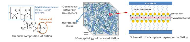 Nafion의 분자구조와 미세구조 그리고 특별히 water channel 구조의 모식도